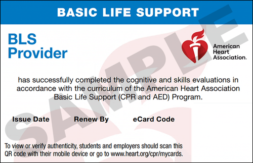 Sample American Heart Association AHA BLS CPR Card Certification from CPR Certification Tucson