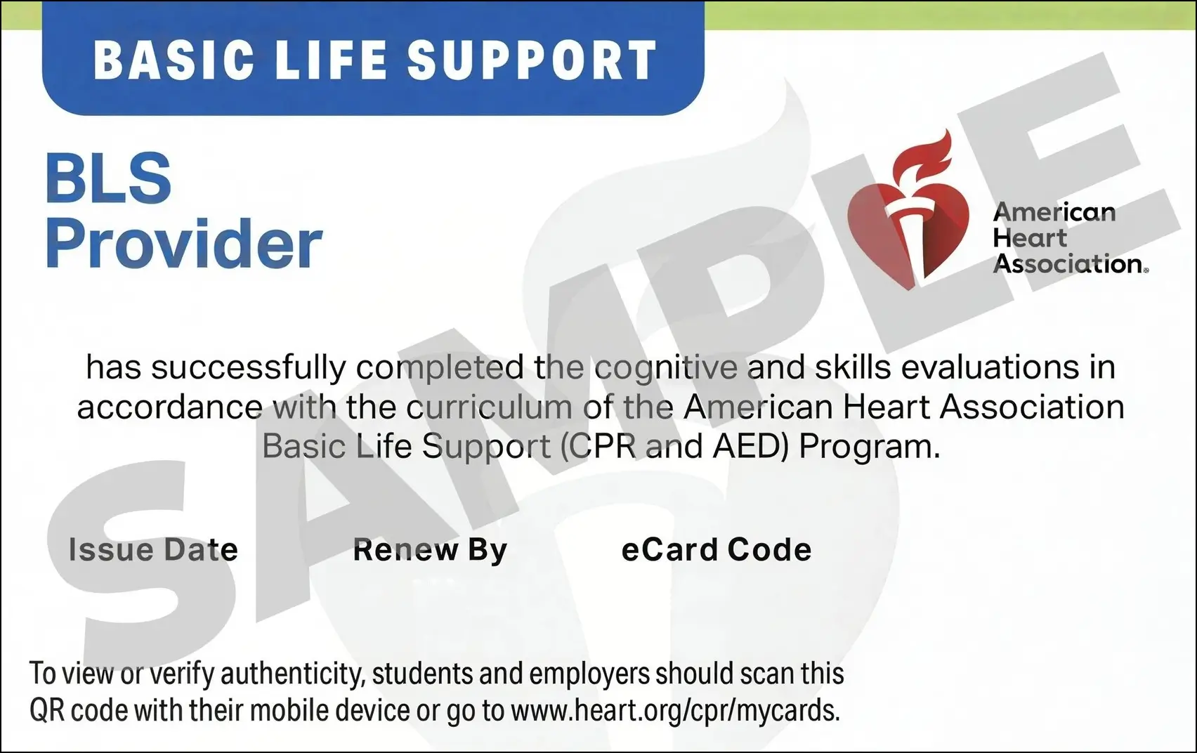 Sample American Heart Association AHA BLS CPR Card Certification from CPR Certification Tucson
